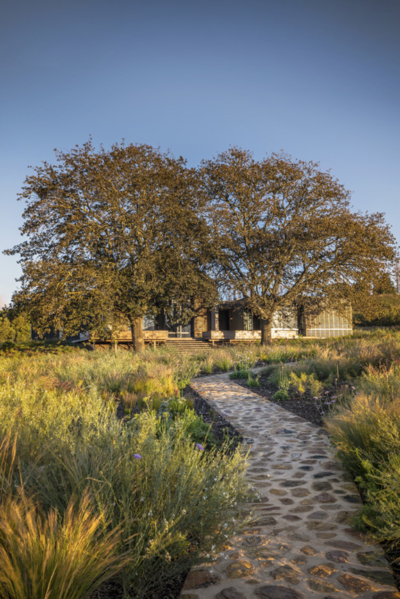 Onyx Architects and Interior Design Studio in Cape Town, Moya Meaker Winery