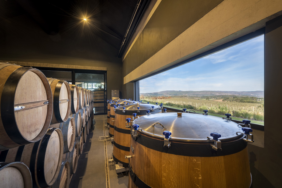 Onyx Architects and Interior Design Studio in Cape Town, Moya Meaker Winery
