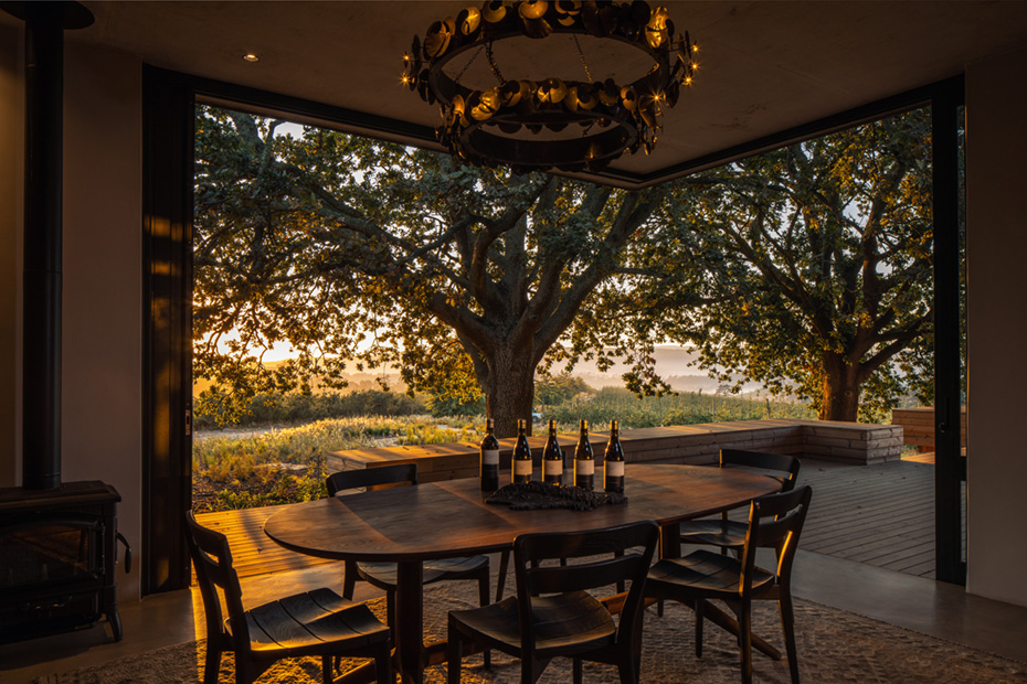 Onyx Architects and Interior Design Studio in Cape Town, Moya Meaker Winery